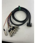 Wexler DB25 25-pin Analog D-Sub to 8 XLR3M Male FEMALE Breakout Snake 8 ... - €51,11 EUR