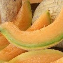 New Seeds 50 Melon Amish seed organic USA Seller - £5.01 GBP