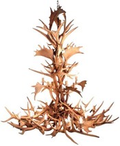 Chandelier 18-Light Chestnut Genuine Elk Fallow Antler Concealed Wiring - £12,412.22 GBP