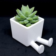 Leggy the Flower Pot Planter Hand-Made Succulent Decoration 3D Print - £6.39 GBP