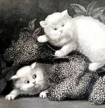 The Kittens Beautiful White Cats Steel Engraving 1859 Victorian Art DWY5D - £52.57 GBP