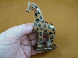 (TNE-GIR-424-A) Baby African Giraffe Tagua Nut Figurine Carving Vegetable Art - £31.06 GBP