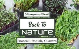 Broccoli, Radish, Cilantro Microgreen Seed Blend - Organic - Non Gmo - Heirloom  - £8.41 GBP