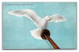 A British Columbia Sea Gull Canada DB Postcard N22 - £3.14 GBP