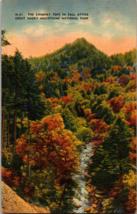 The Chimney Tops in Fall Attire, Great Smoky Mountains National Park, Tennessee - £3.96 GBP