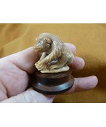(tb-mon-5) tan Gorilla Tagua NUT palm figurine Bali detailed ape Monkey - $1,160.45 MXN