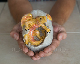 Adorable Fierce GOLD Dragon Hatchling Egg 5&quot; Tall Fantasy Superb Detail GoT CUTE - £10.89 GBP