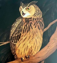 Eagle Owl Art Print Color Plate Birds Of Prey Vintage Nature 1979 DWT11A - £27.72 GBP