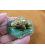 (Y-FRO-LP-713) Green orange FROG frogs LILY PAD stone gemstone CARVING f... - $34.28 CAD