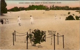 Freeport Maine Buried Cherry Tree Desert Beautiful Hand Colored Postcard Z21 - £15.94 GBP
