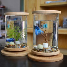 Bamboo Base Mini Glass Aquarium: A Stylish and Compact Fish Tank Decoration - £38.98 GBP