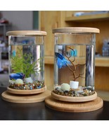 Bamboo Base Mini Glass Aquarium: A Stylish and Compact Fish Tank Decoration - £38.35 GBP