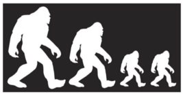 Bigfoot Family Bumper Stickers Made in USA 12 PACK - $24.00