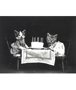 The Birthday Cake - Cats Kittens - 1914 - Photo Magnet - £9.58 GBP