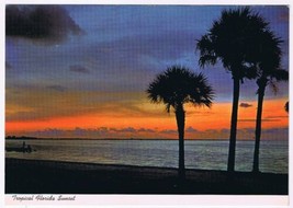 Postcard Tropical Florida Sunset Along Sea Coast - £3.88 GBP