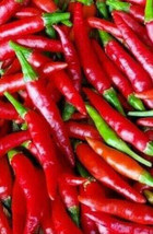  25 Thai Chili Hot pepper Seeds Birds Eye - £3.42 GBP