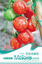 Heirloom Colorful Small Cherry Tomato Organic Seeds, Original Pack, 20 Seeds / P - £3.59 GBP