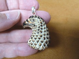 (j-eagle-43) Golden Eagle HEAD PENDANT heads bird head aceh bovine bone carving - £24.04 GBP