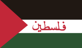Palestine Ancient Arabic Script 100D 3x5 3&#39;x5&#39; Woven Poly Nylon Flag Banner USA - £14.80 GBP