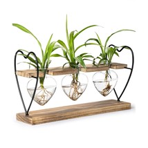 Heart Propagation Stations, Cute Plant Terrarium Wooden Stand Love Glass... - $33.99