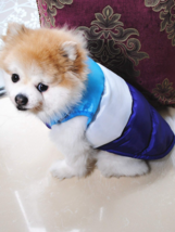 Pet Vest Jacket Warm Puppy Dog Waterproof Clothes Small/Large Winter Padded Coat - £6.01 GBP+