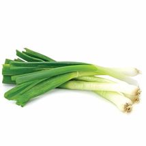 300 Seeds Toky Long White Bunching Onion - £7.84 GBP