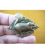 (b-squir-51) fat Squirrel little baby squirrels forest skunk brass pin p... - $18.99