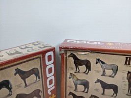 Brand New EuroGraphics Horses 1000 Piece Puzzle with shipping damage to box - $19.79