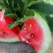 Ship From Us 4 G ~50 Seeds - Organic Allsweet WATERMELON- Heirloom, NON-GMO,TM11 - £14.75 GBP