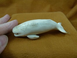 Whale-w79 little Beluga Whale shed ANTLER figurine Bali detailed love wh... - $90.68