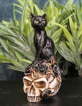 Wicca Magic Black Mystical Cat Sitting On Skull With Poison Roses Mini F... - $292.05 MXN