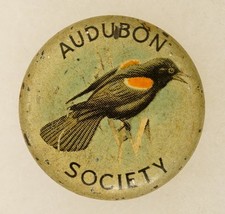 Vintage Pinback Button Lapel Pin Membership Audubon Society Red Wing Bla... - £14.98 GBP