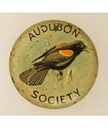 Vintage Pinback Button Lapel Pin Membership Audubon Society Red Wing Bla... - £15.77 GBP