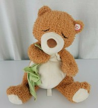 Hallmark Stuffed Plush Brown Tan Teddy Bear Green Blanket Talks Talking ... - $79.19
