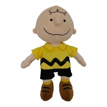 Kohls Cares Charlie Brown Plush 14&quot; Stuffed Doll Toy Snoopy Peanuts B5 - $11.81