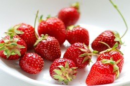 10 Pack 500 Seeds Fragaria Seeds Strawberry Roman Dark Red Strawberry Se... - $15.63