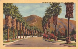 Antique Postcard A Typical Residential Drive in California - £2.86 GBP