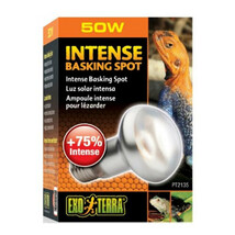 Exo Terra Intense Basking Spot Lamp - 50W - €22,63 EUR