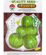 New Fresh Middle Green Tomato With Dark Green Stripe Seeds 1 Pack 300 Se... - $184.06 MXN