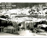 RPPC Winter Scene Babcock State Park Clifftop West Virginia WV UNP Postc... - $12.82