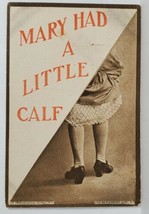 Woman Raised Dress, Mary Had. A Little Calf 1910 FG Henry Co Postcard T11 - $6.95
