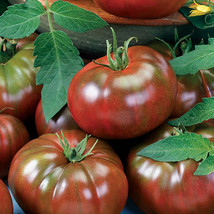 New Fresh 50 Seeds Chefs Choice Black Tomato Juicy Tomatoe Vegetable Garden - $7.00