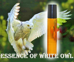 Haunted 27x ESSENCE OF WHITE OWL CLEAR NEG SPACE HEAL OIL MAGICK WITCH CASSIA4 image 2