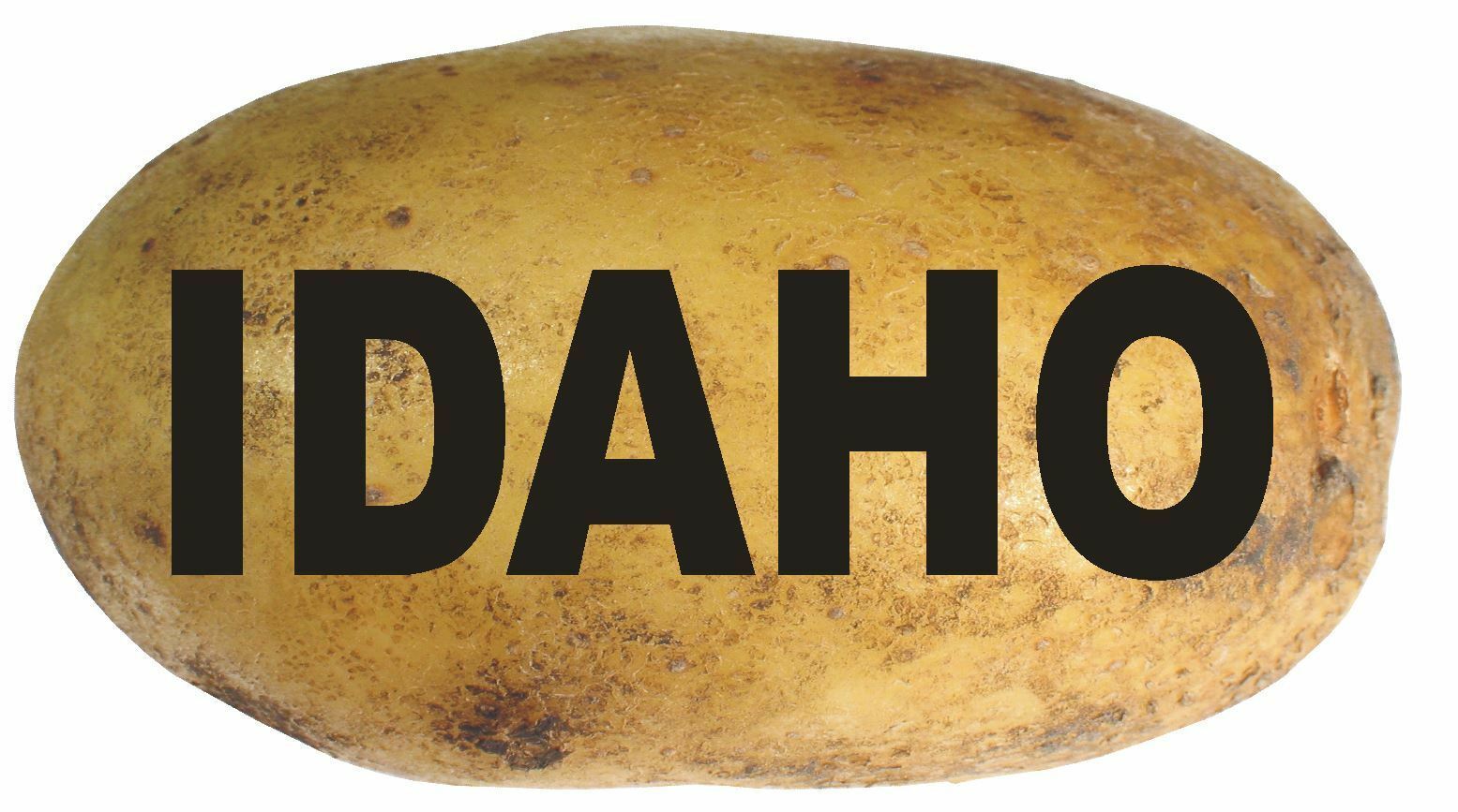 Primary image for Idaho Oval Bumper Sticker or Helmet Sticker D2328 State Euro Oval Potato