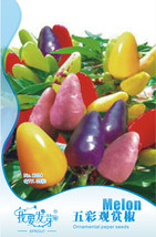 Anhui Heirloom Colorful Hot Ornamental Pepper Organic Seeds, Original Pack, 35 S - £3.58 GBP