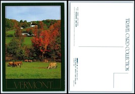 VERMONT Postcard - Fall / Autumn Scene With Cattle Grazing, Church GZ12 - £2.57 GBP