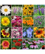 All Perennial Wildflower Mix, 1 LB, 15 Species Flowers, E... - $49.45