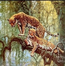 Jaguars In South American Rain Forest 1932 Lithograph Nature Cover Art DWCC8 - £31.26 GBP