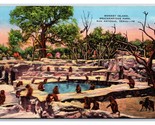 Monkey Island Brackenridge - Park San Antonio Texas Tx Unp Lino Cartolin... - $3.36