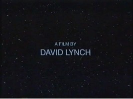 The Straight Story (VHS, 2000) David Lynch - £15.29 GBP